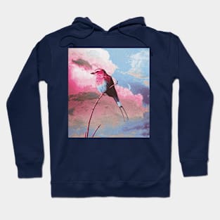 Colorful bird sky Hoodie